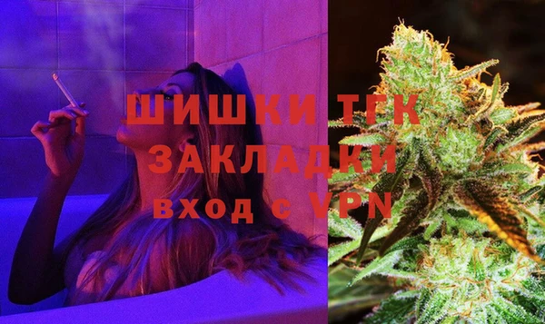сатива Иннополис
