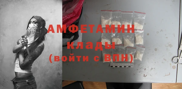 сатива Иннополис