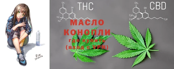сатива Иннополис