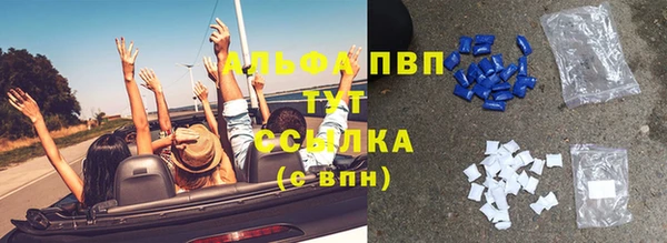 сатива Иннополис