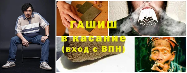 сатива Иннополис